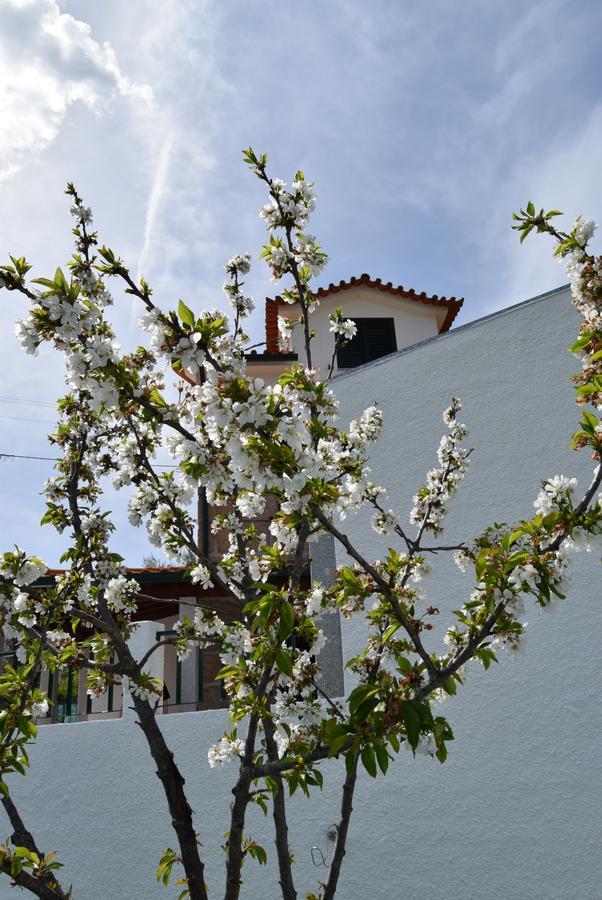 Casa Do Chao Do Ribeiro *